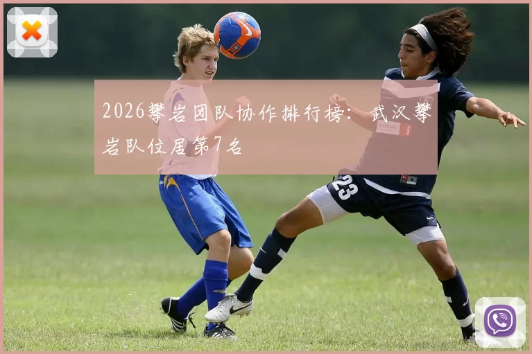 2026攀岩团队协作排行榜：武汉攀岩队位居第7名