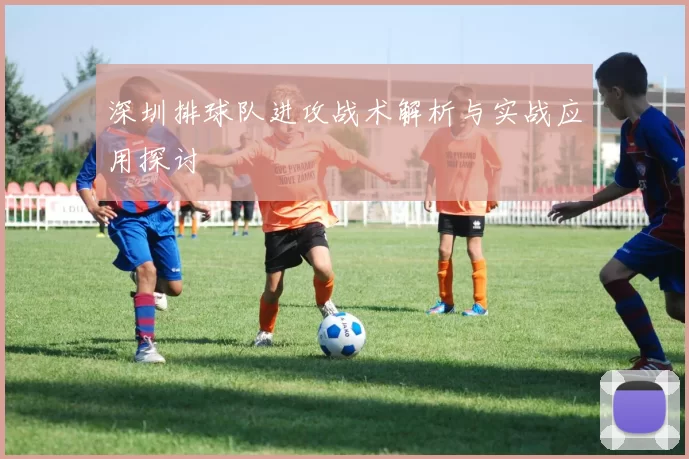 深圳排球队进攻战术解析与实战应用探讨