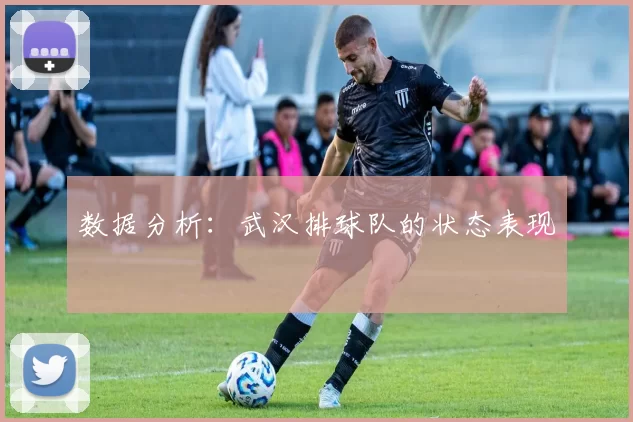 数据分析：武汉排球队的状态表现