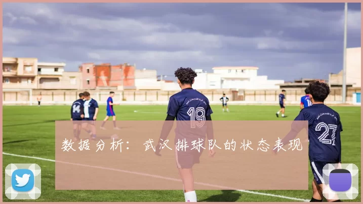 数据分析：武汉排球队的状态表现