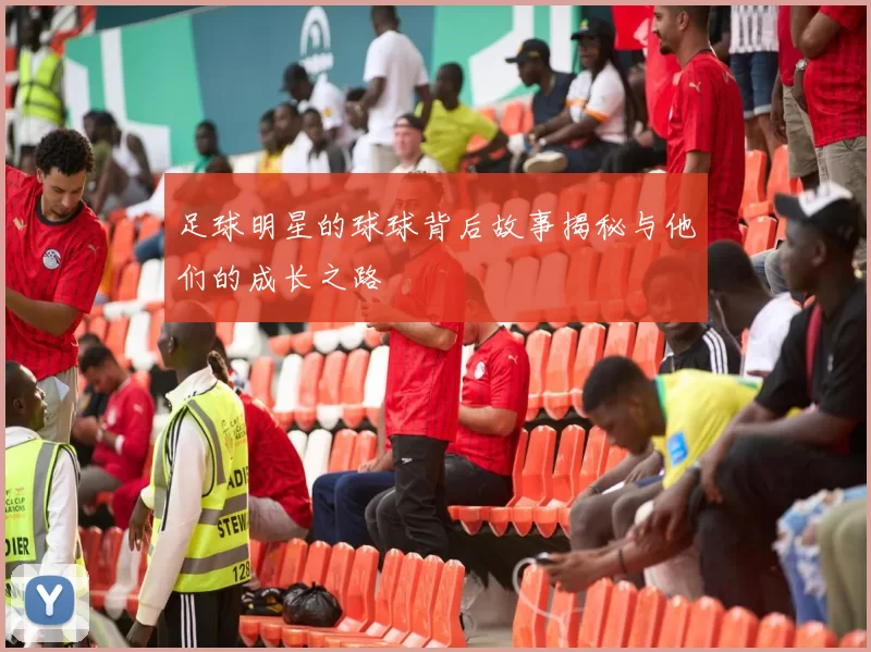 足球明星的球球背后故事揭秘与他们的成长之路