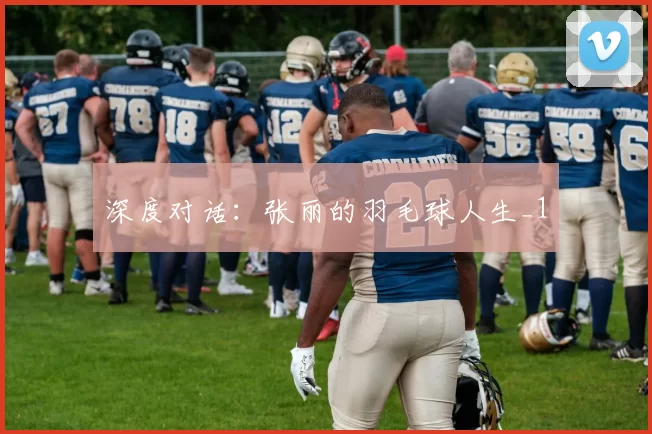 深度对话：张丽的羽毛球人生_1